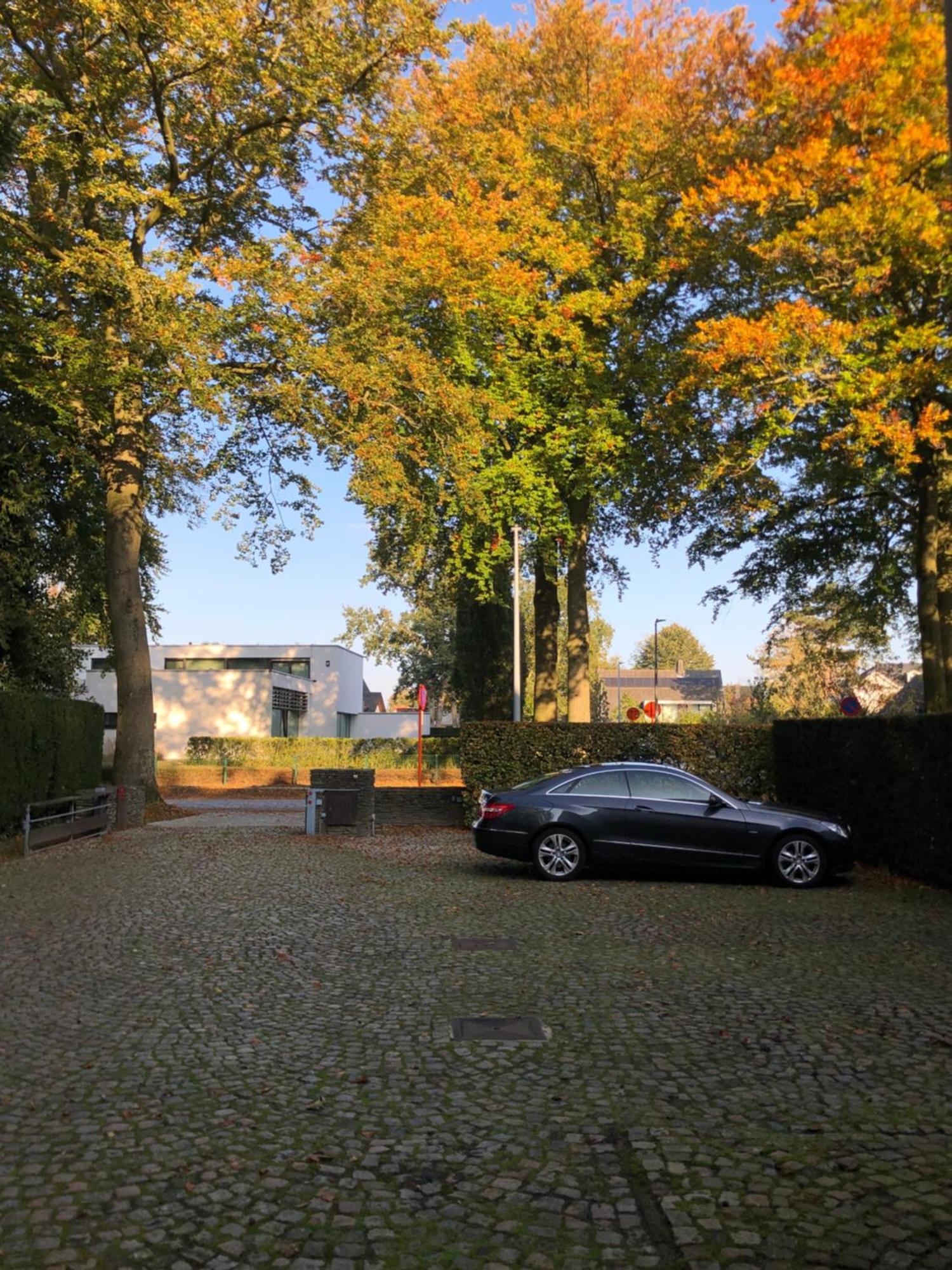 B&B Lobelia-Brugge Екстериор снимка
